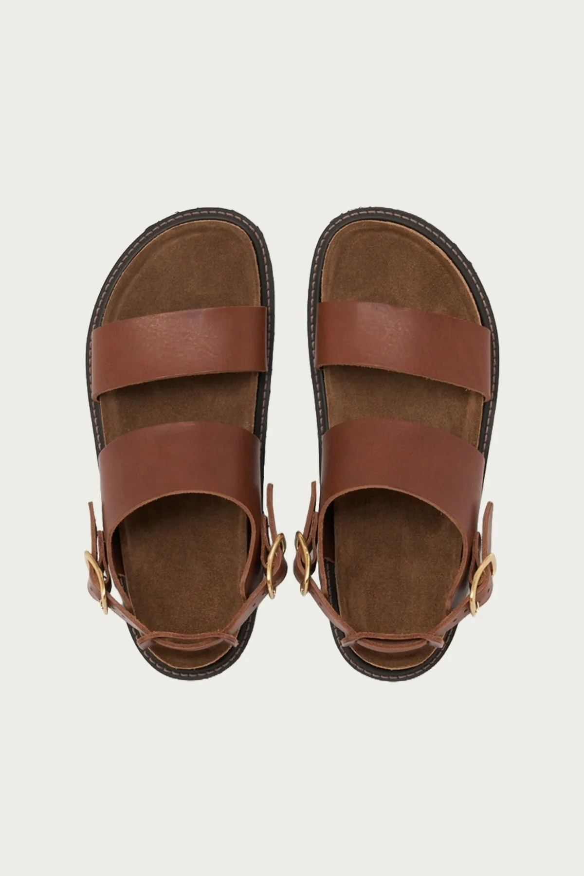 Chameleon Slide - Brown