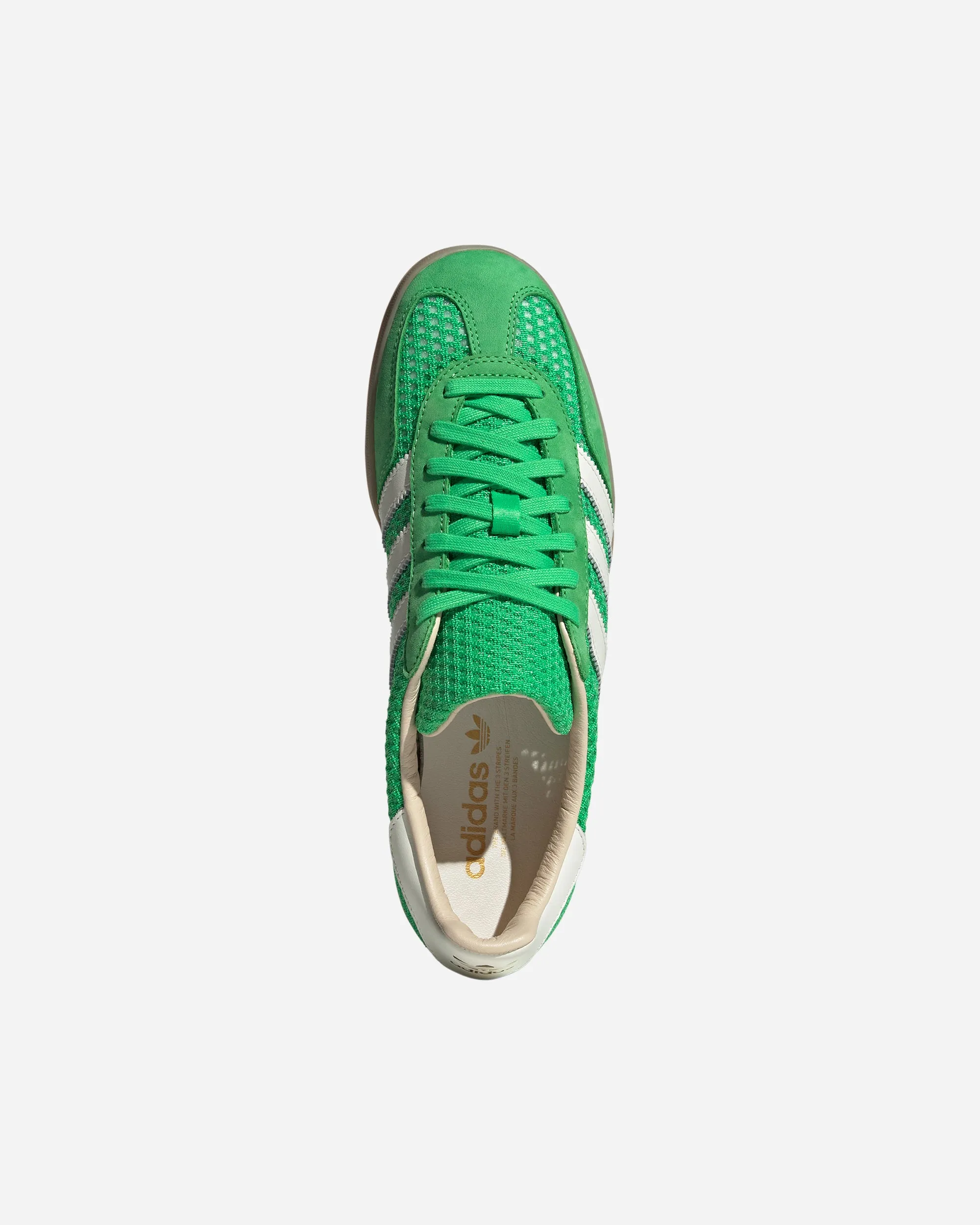 Gazelle Indoor