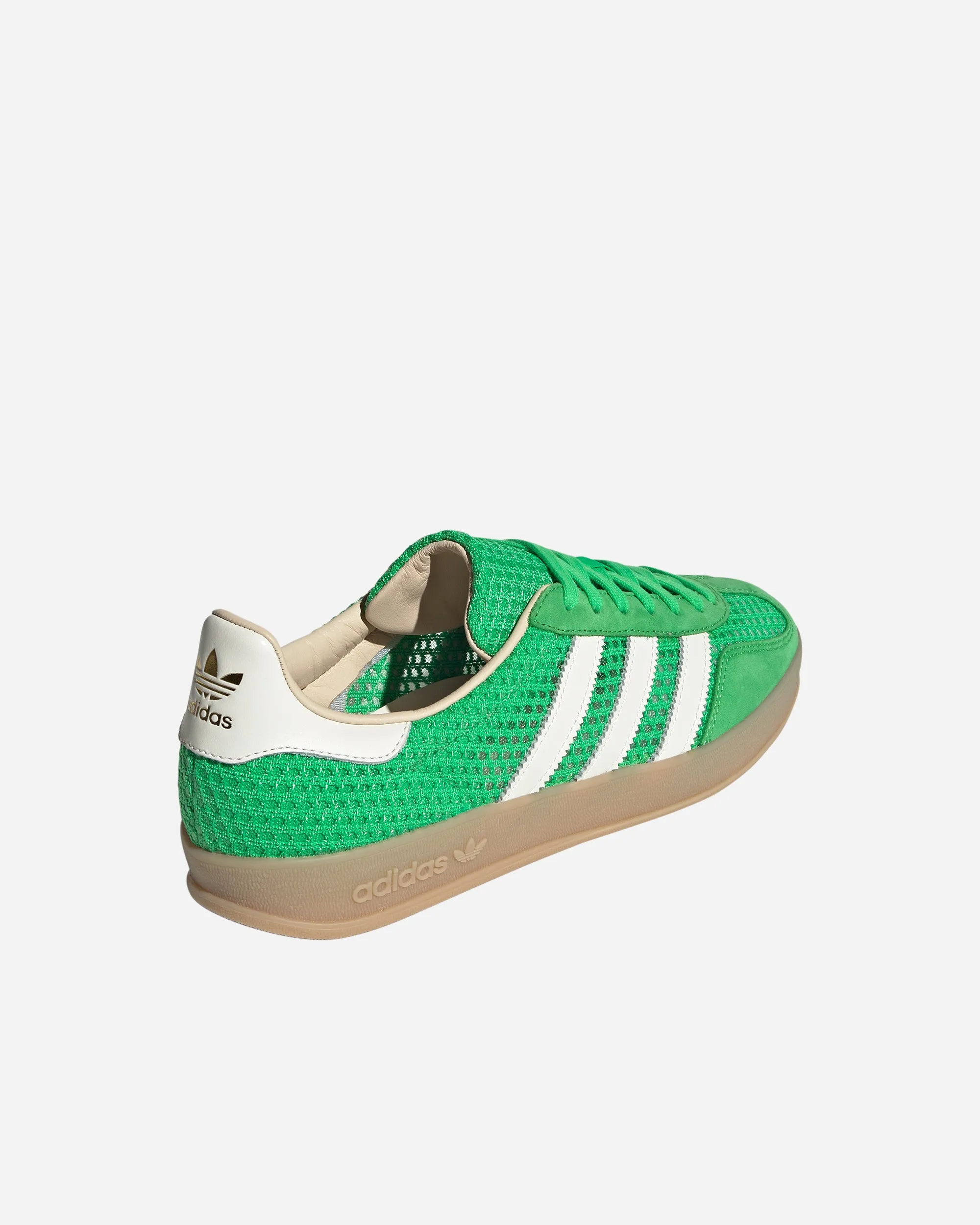 Gazelle Indoor