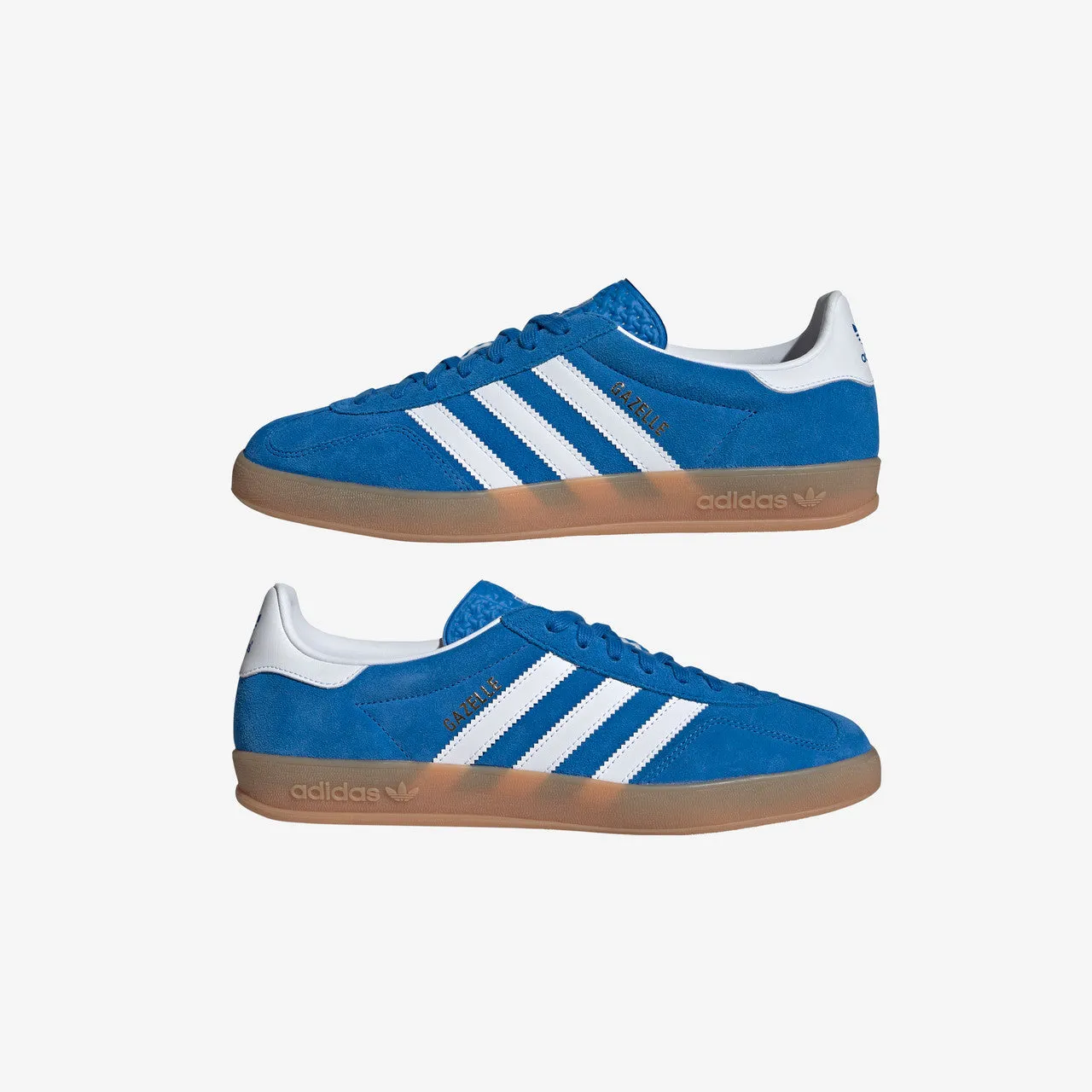 Gazelle Indoor