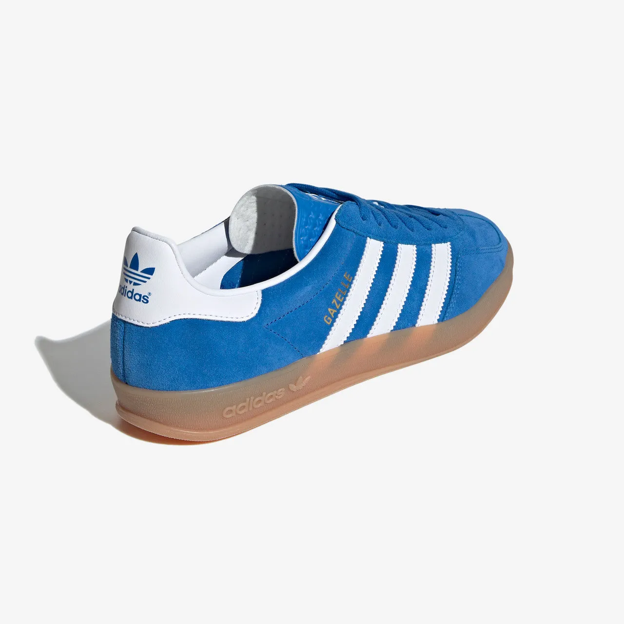 Gazelle Indoor