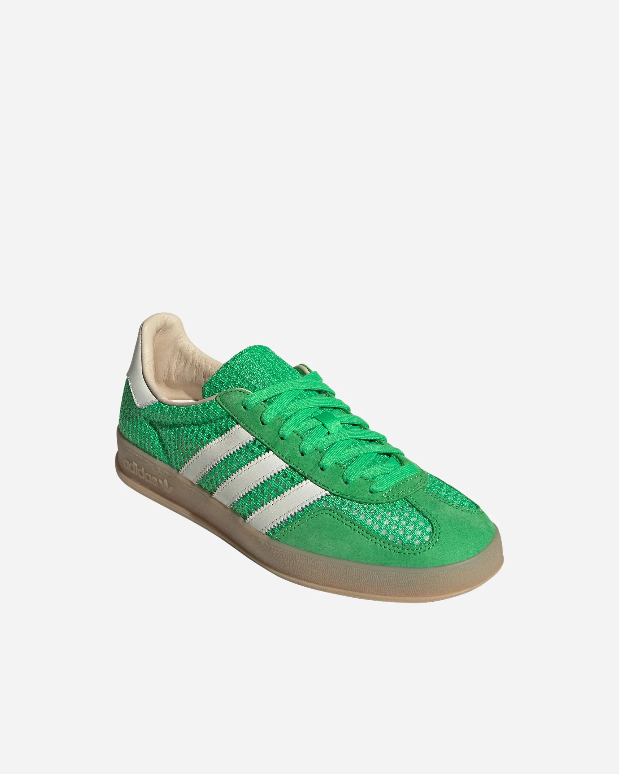 Gazelle Indoor