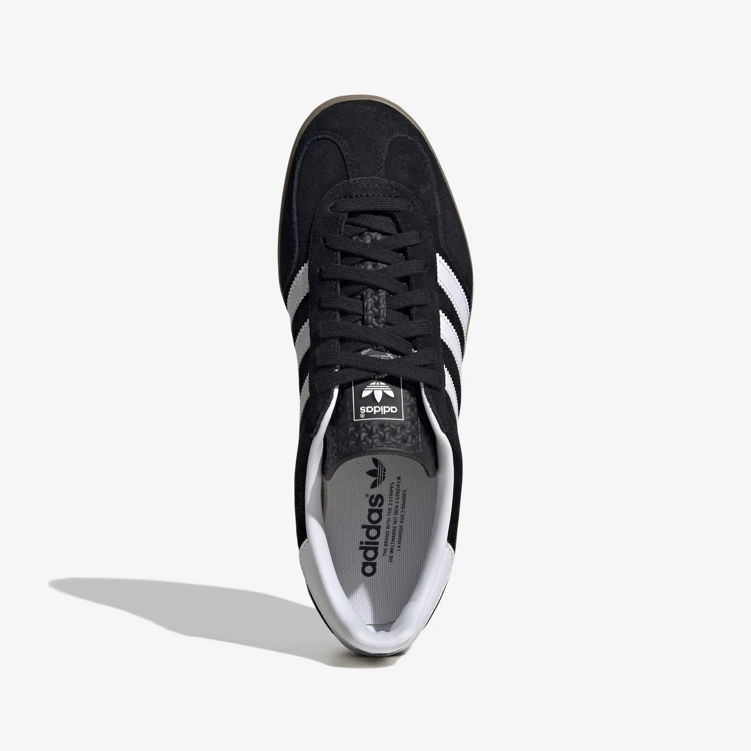 Gazelle Indoor