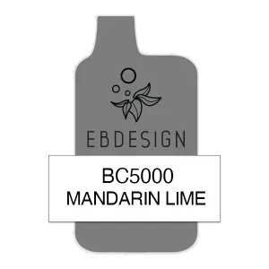 Mandarin Lime Elf Bar 5000